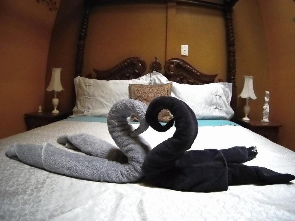 Atlantis Backpackers Hostel Picton